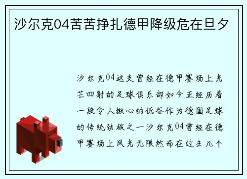 沙尔克04苦苦挣扎德甲降级危在旦夕